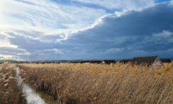 Lake Neusiedl - varia