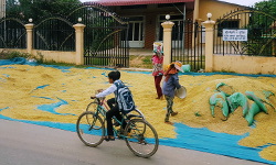 Bus: Kratié to Phnom Penh