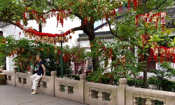 Shanghai Confucius Temple