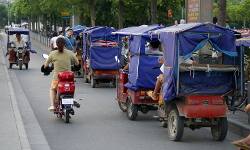 Shanghai, August - October