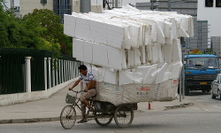 Shanghai, June - August