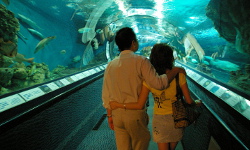 Shanghai Ocean Aquarium