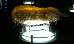 Shanghai Science and Technology Museum