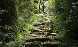 Tianmu Mountain, Zhejiang