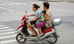 More pictures, part II