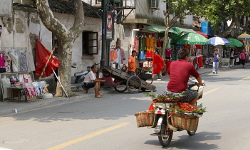 More pictures, part III