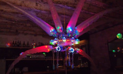 Venice Biennale - movies