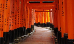 Fushimi Inari Taisha, Kyoto