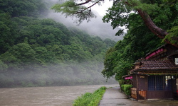 Sagano, Kyoto