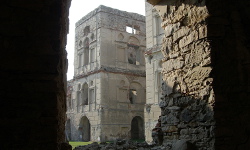 Krzyżtopór Castle, Ujazd