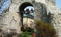 Stopnica - Szczaworyż