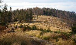 Beskid Mały
