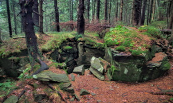 Hala Miziowa - Pilsko