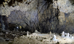 Jaskinia Nietoperzowa