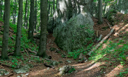 Pazurek nature reserve (08-01)