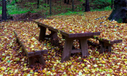 Pazurek nature reserve (10-18)