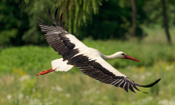 Cycling route: Kraków - Łączany - Kamień - Kraków
