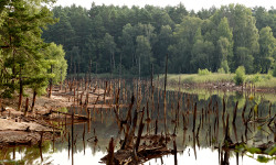 Muskau Bend: Former Babina Mine