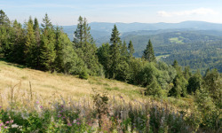 Silesian Beskids: Stożek Wielki
