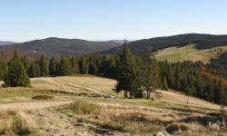 Turbacz in Gorce Mountains