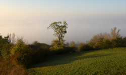 Vistula Valley near Koszyce