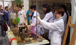 Science Festival, Kraków