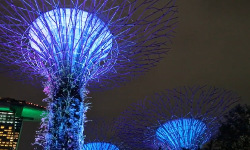 Singapore - movies