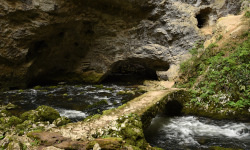 Rakov Škocjan Landscape Park