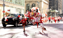 Pulaski Day Parade in New York