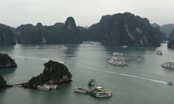 Hạ Long